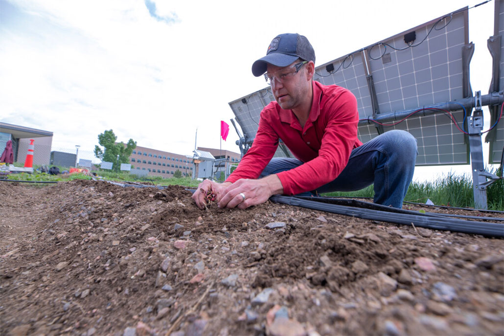 a white man wearing a red shirt and a ball cap bends over a furrow in the dirt to plant a plant. Solar panels can be seen behind him