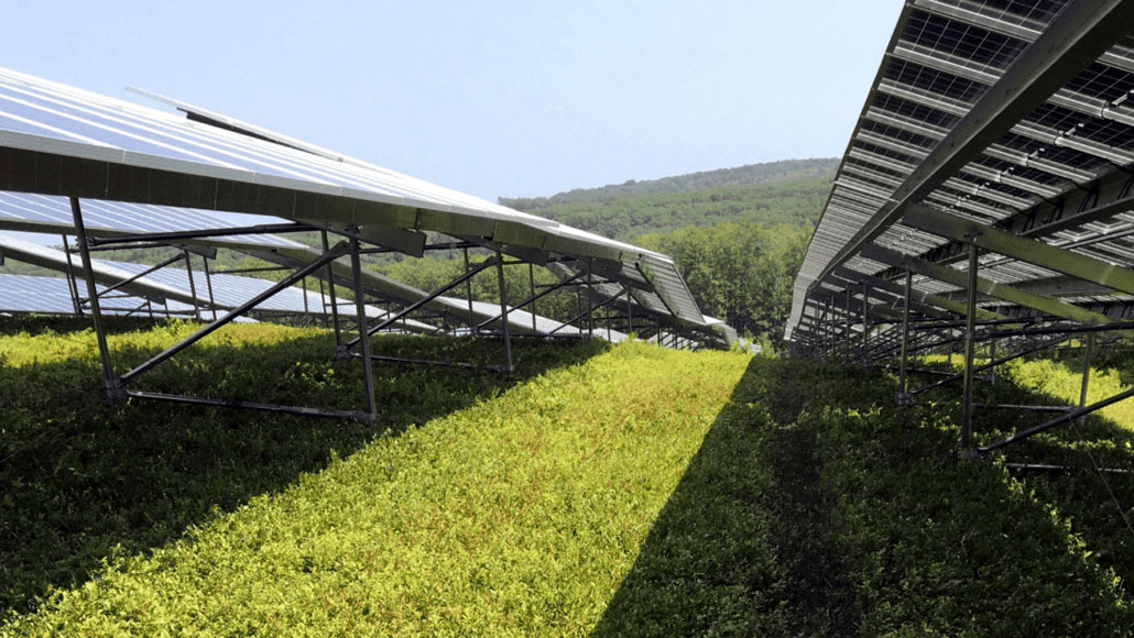 a green field with solar panels