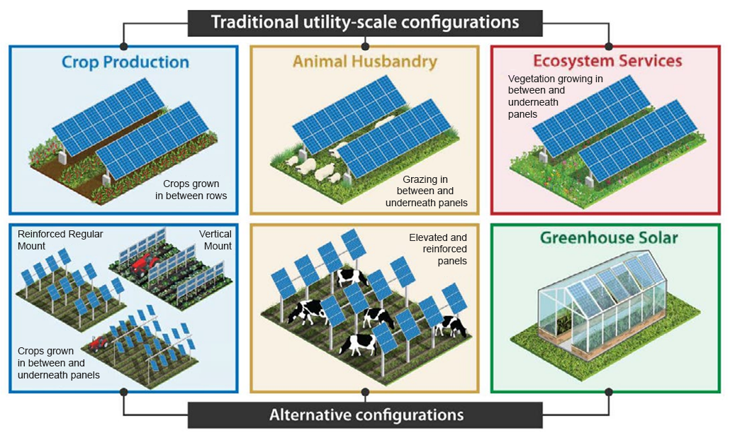 an illustration showing various ways to set up solar panels in fields used for agriculture and livestock