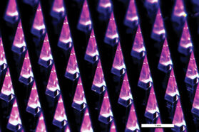 Rows of microscopic needle tips are lit up by a purple and pink light.