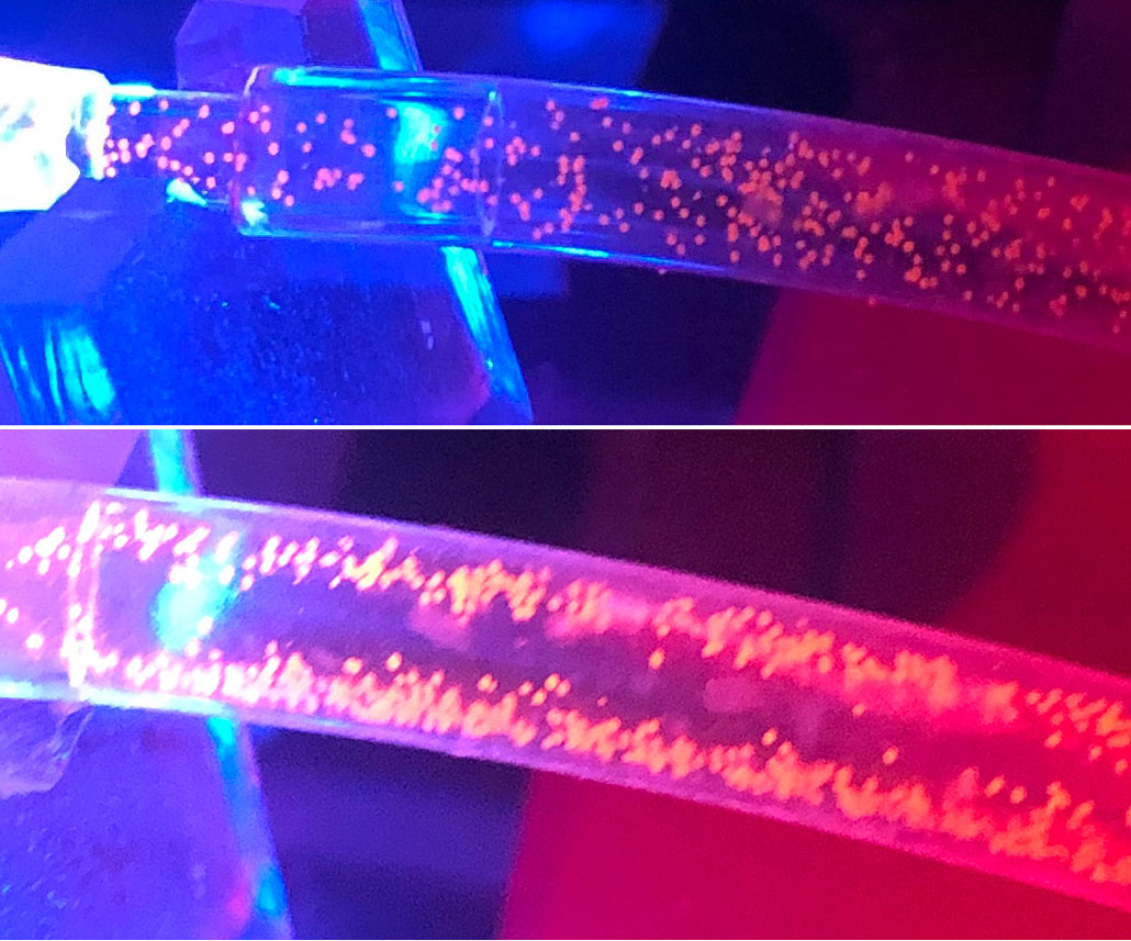 a composite image showing two clear plastic tubes with water and microplastics inside. The top image shows plastic dots fairly evenly spread through the water. The bottom (after ultrasound waves are applied) shows the plastic particles pushed to the sides of the tube.