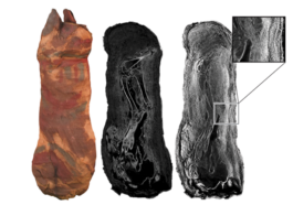 An image showing the different kinds of scans taken of a mummified cat from ancient Egypt. The image on the left is a photo of the cat, the scan in the middle was taken by x-ray and the scan on the left was taken with neutron imaging. There is an inset showing details of the cloth wrappings.