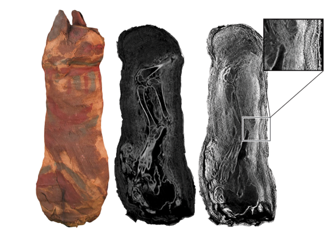 An image showing the different kinds of scans taken of a mummified cat from ancient Egypt. The image on the left is a photo of the cat, the scan in the middle was taken by x-ray and the scan on the left was taken with neutron imaging. There is an inset showing details of the cloth wrappings.