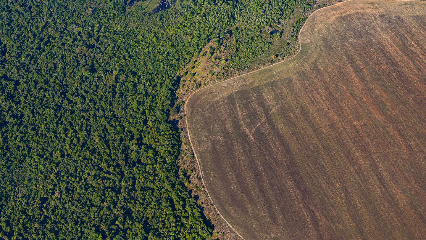 an aerial view of a large swath of rainforest that has been cleared away leaving bare ground