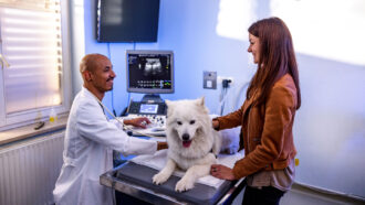 a fluffy white dog lies on the table of a vet's office while the vet uses an ultrasound machine to scan its back and the dog's owner stands beside it