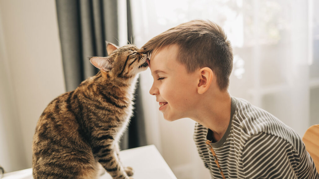 a cat sitting on a desk likes the forehead of a smiling boy sitting in the desk chair