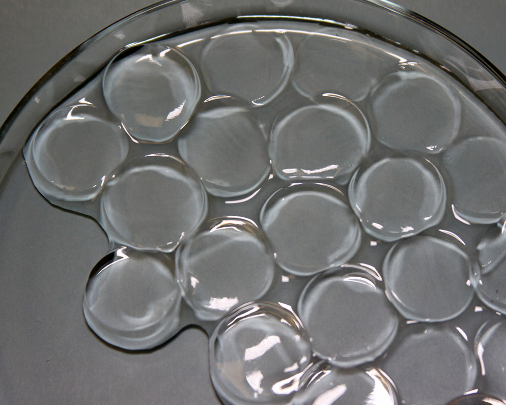a close-up of discs of clear hydrogel swelling as they absorb salty water
