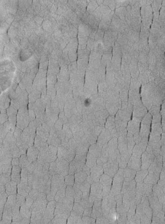 A grayscale photo of a surface on Mars showing cracks that make a patchwork of polygons.