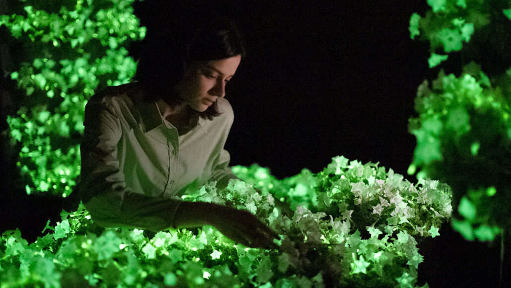 a girl looking at a bunch of glowing leaves in the dark