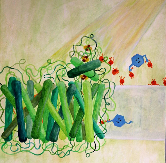a drawing showing how electrons are stolen from the photosynthetic process