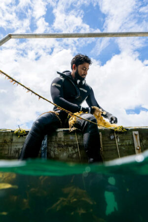 a photo of Ravishankar in a scuba suit sitting on a pier measuring giant kelp growth