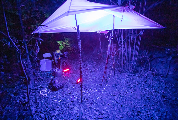 A white sheet bathed in diffuse light is stretched above the ground. The image, taken at night, appears blue.