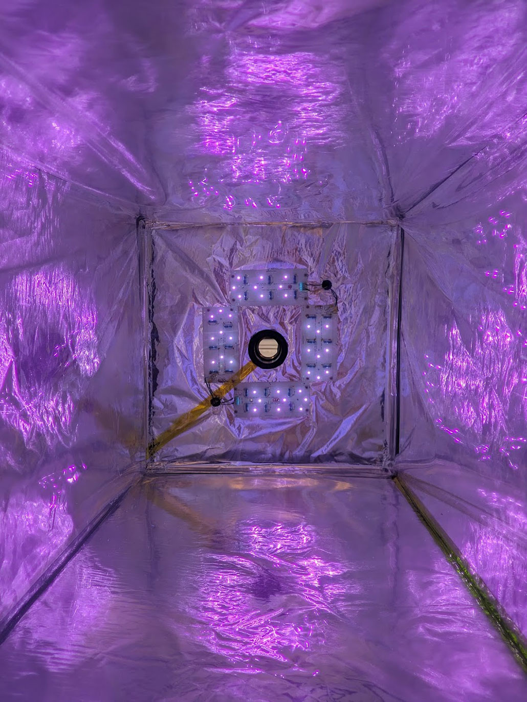a photo of the inside of a square metal chamber with purple UV lights