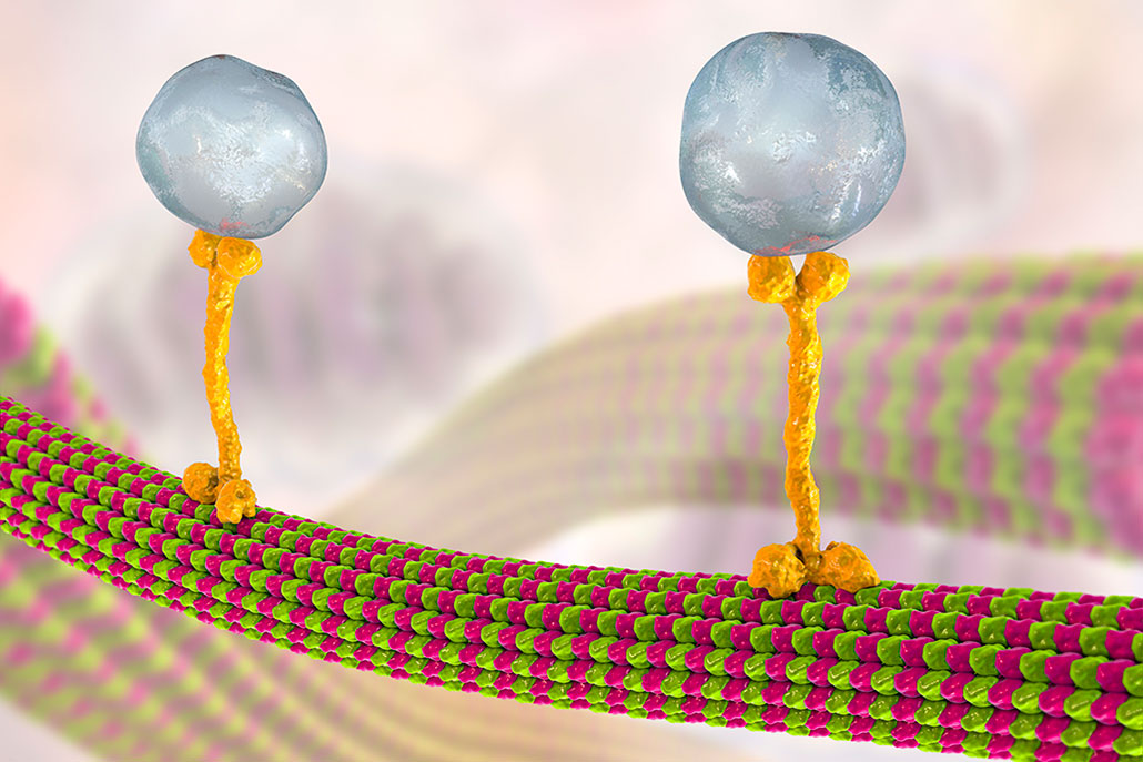 two blue balls are tethered to braided pink and green cords by a yellow tether