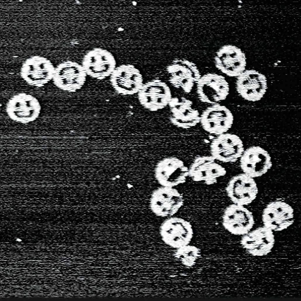 A microscopic photo of DNA oragami, folded into smiley faces scattered across the black and white image.