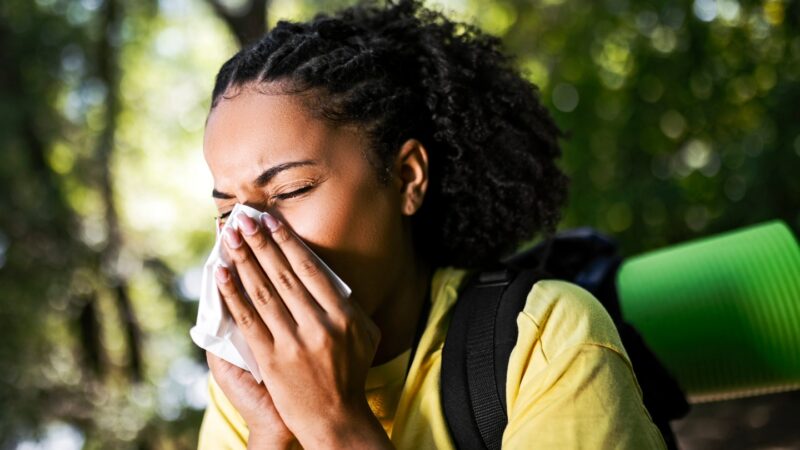 A new type of immune cell may cause lifelong allergies