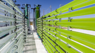 two fence-like rows of tubes (one grey, one green) run across a platform toward other equipment under a blue sky
