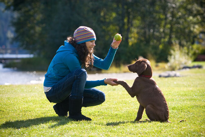 a girl with long dark curly hair bending down to get her dog to shake 