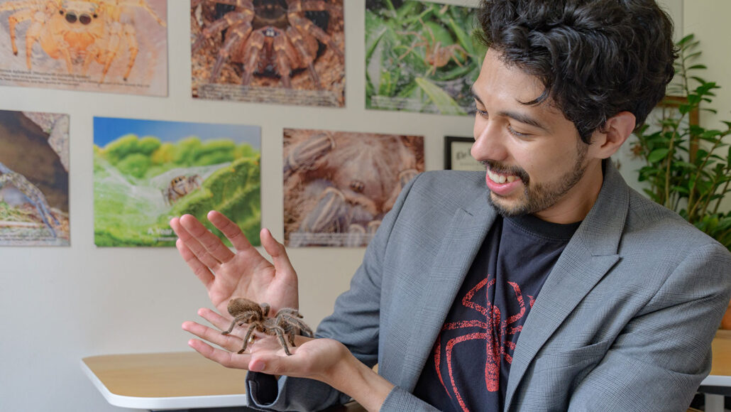 Spider researcher Sebastian Echeverri is holding a large gray tarantula. He is a Hispanic man with black hair and black facial hair. He's wearing T-shirt with a spider on it under a gray blazer jacket. He sits in front of spider photos hanging on the wall.