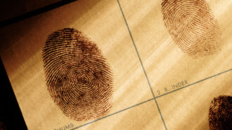 in two boxes on a piece of paper are two fingerprints stamped in ink; one is labeled as coming from a person's thumb and the other from their index finger