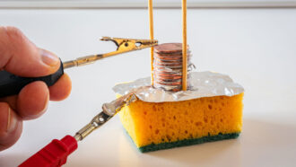 a "voltaic stack" of pennies and nickels sits atop a piece of tin foil atop a sponge; one metal clip of a multimeter lead touches the top of the voltaic stack, while the other touches the tin foil