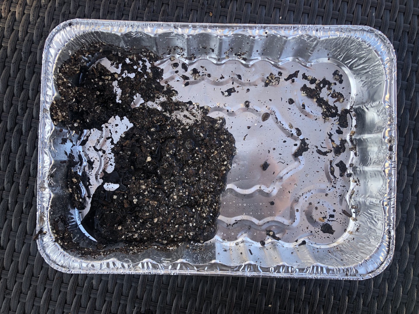 Cake pan with water drained out but soil remaining