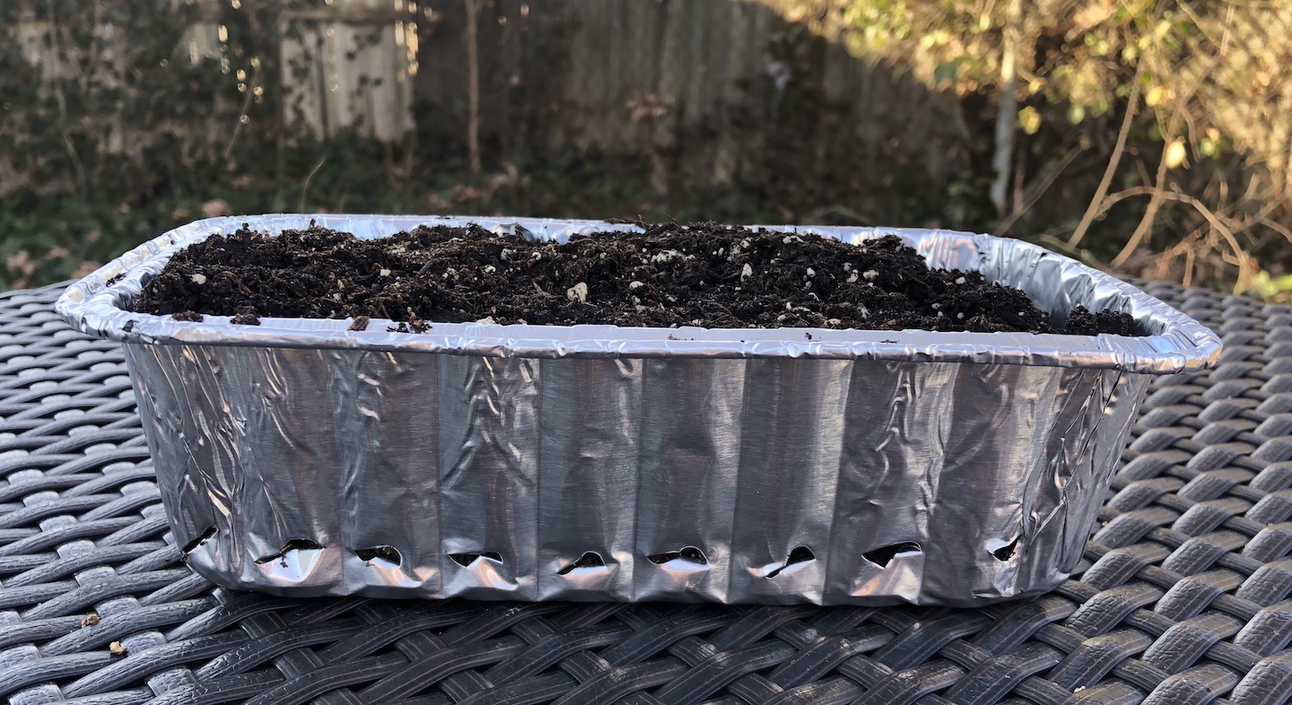 a bread pan filled with soil with holes poked along the bottom of the long side of the pan