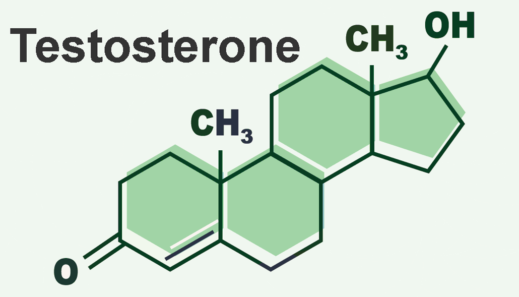 a molecular diagram showing the structure of testosterone