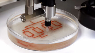 a dropper builds tiny channels of liquid in a petri dish