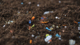 tiny bits of colored plastic scattered in soil