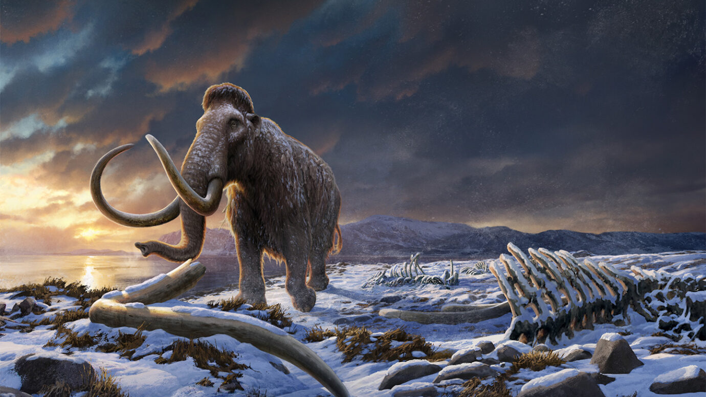 Analyze This: How big was the biggest T. rex?