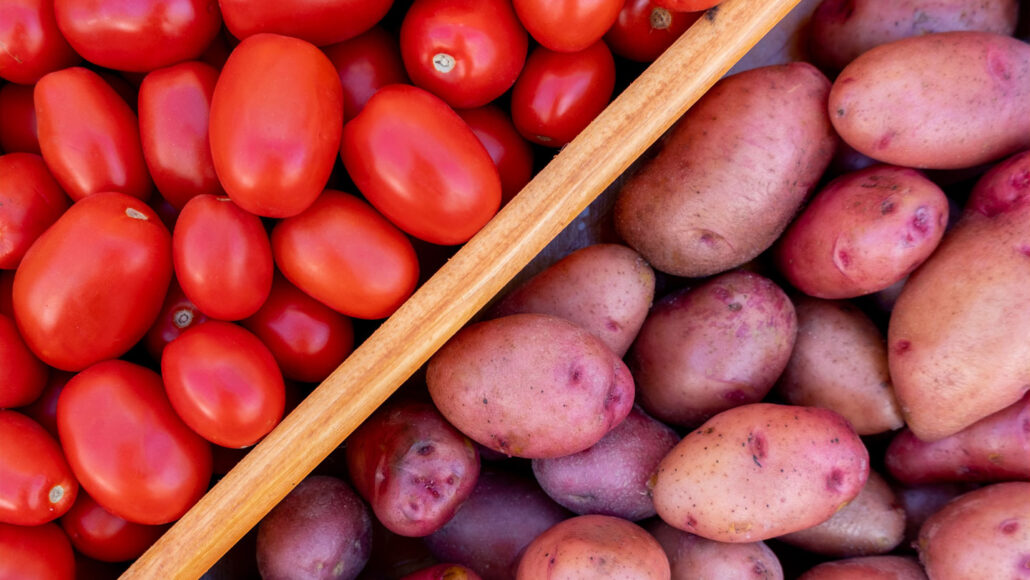 A bin divided diagonally in half shows tomatoes in one section and potatoes in another.