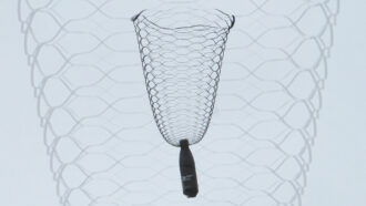 A water bottle dangles from a lacy, vase-shaped parachute.