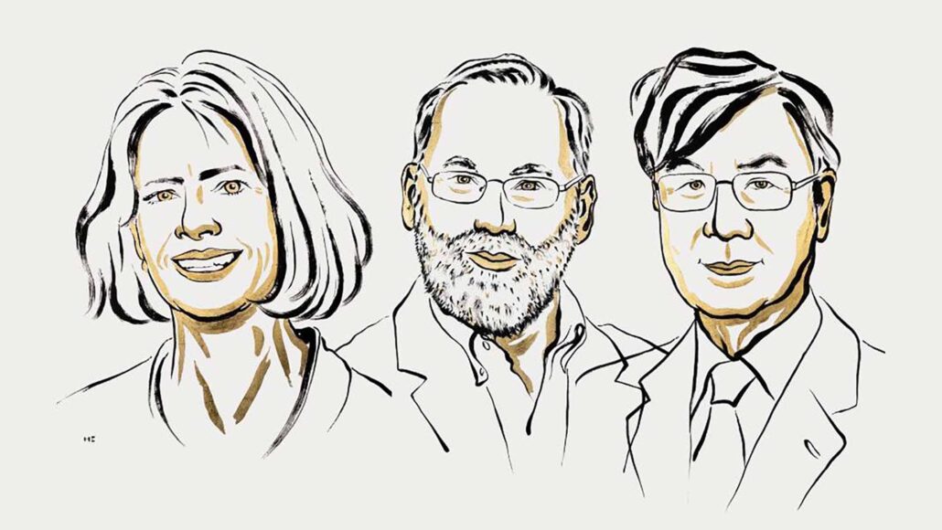 Line sketches of the three winners of the 2025 Nobel Prize in physiology and medicine from left to right: Mary Brunkow, Fred Ramsdell, Shimon Sakaguchi, The trio won for discovering a type of immune cell.