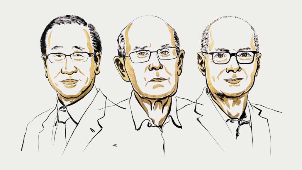 An illustration of the winners of the 2025 Nobel Prize in chemistry.