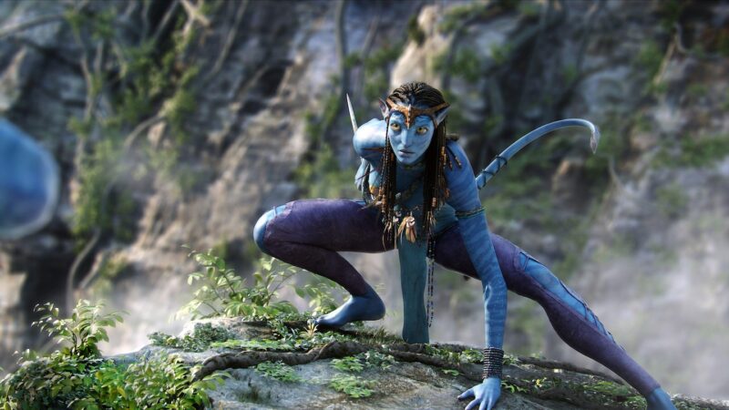 Neytiri, a blue Na'vi alien woman, crouches in a combative stance on a large, mossy tree branch