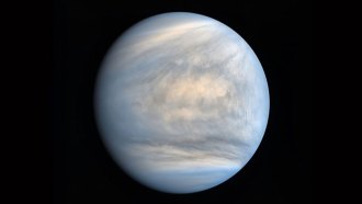 860_main_Venus.jpg