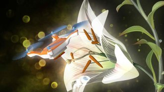 pollinator drone