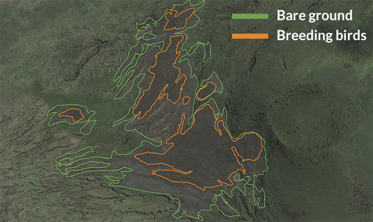 a sattelite map with an outline showing hte boundary of bare ground where penguins used to be