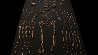 Homo naledi