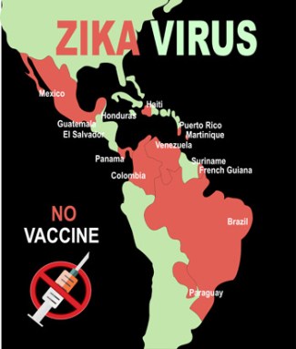 350-inline-1-zika-illustration.jpg