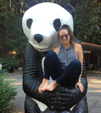 350-inline-4-emma-karey-giant-panda-redwoods.png
