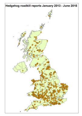 hedgehog roadkill map