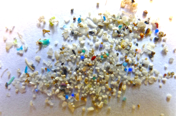 350_inline3_microplastics.png