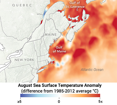 375_CCC8_gulf_of_maine_warm_water_record_2018.png