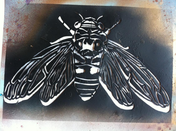 730-final-inline-cicada-stencil.png