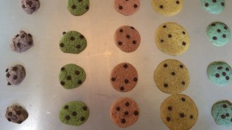 Fresh baked cookies in my second experiment. Those with the most xanthan gum are in purple (far left). The control cookies are in blue (far right).