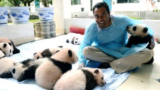 Sanjayan Pandas