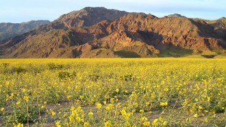 Death Valley