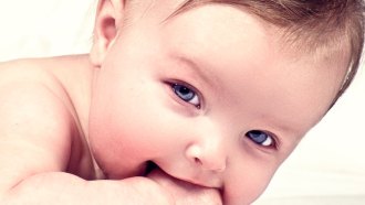 Early in development, all babies look much the same. They don’t take on features that make them more boy- or girl-like until later, when genes on their sex chromosomes instruct the body about how to finish sculpting its tissues.